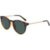 imageNautica N900sp Round SunglassesDark Tortoise