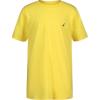 Aspen Yellow