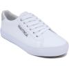 White Silver Iridescent