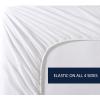 imageNautica  Twin Fitted Sheet Crisp Cotton Percale Bedding Single Ply Woven Lightweight for Year Round Use OekoTex Certified Beaux Stripe BlueSolid White