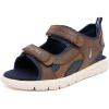 Brown Navy-jimmy