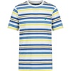 Clear Skies Bright Stripe