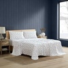 image:imageNautica  Twin Size Sheet Set Microfiber Bedding with Deep Pocket Fitted Sheet Bed Sheets with Matching Pillowcase Alden Stripe BlueApres Skier White