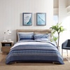 image:imageNautica  Queen Quilt Set Reversible Bedding with Matching Shams Plaid and Stripe Room Decor Lightweight Bed Set College Dorm Room Essentials Addison Blue